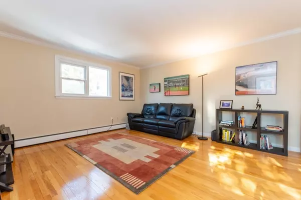 Cambridge, MA 02139,478 Putnam Ave #4