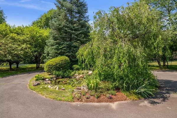 Amherst, MA 01002,19 Indian Pipe Ln
