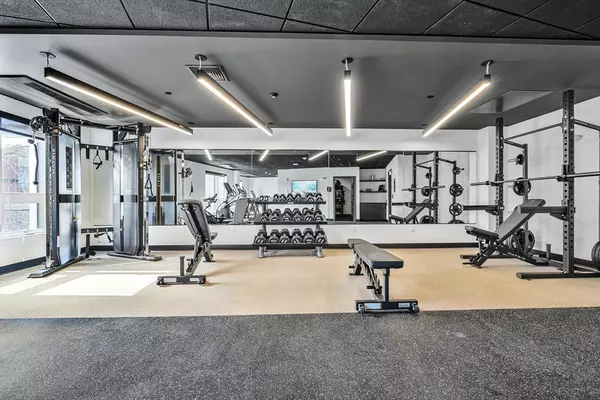 Wilmington, MA 01887,203 Lowell Street #211