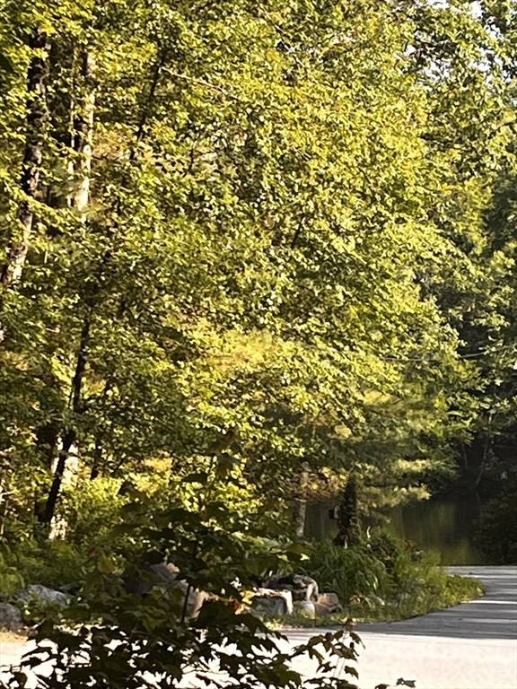 Phillipston, MA 01331,Lot 44-45 Secret Lake Rd