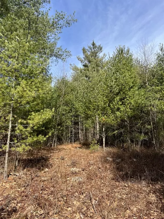Belchertown, MA 01007,Lot 5A Munsell Street
