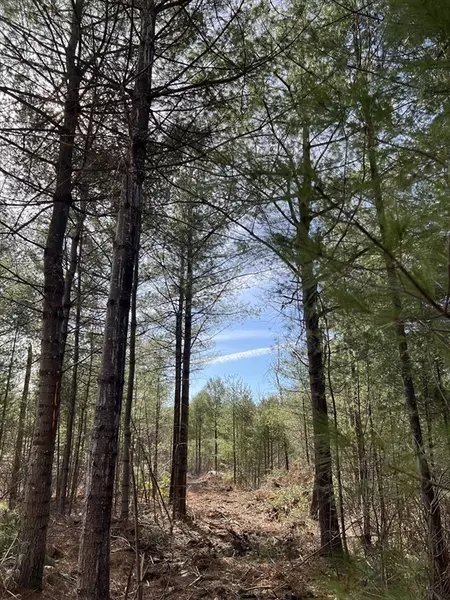 Lot 5A Munsell Street, Belchertown, MA 01007