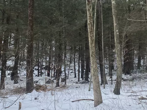 Belchertown, MA 01007,Lot 69 Federal St