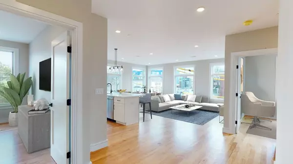 Boston, MA 02135,81 Chestnut Hill Ave #1r