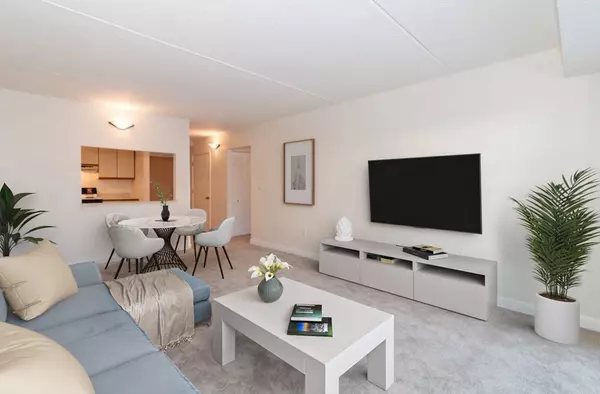 Lynn, MA 01902,20 Nahant Pl #108