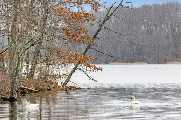 Westborough, MA 01581,23 Linda St