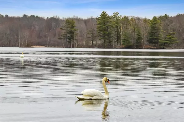 Westborough, MA 01581,23 Linda St