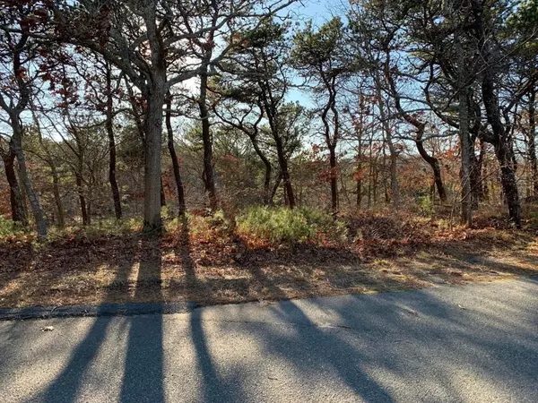 Truro, MA 02652,6 Schardt Way