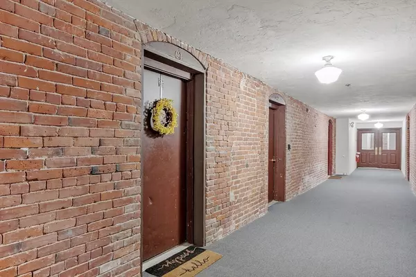 Worcester, MA 01604,31 Elizabeth St #G3