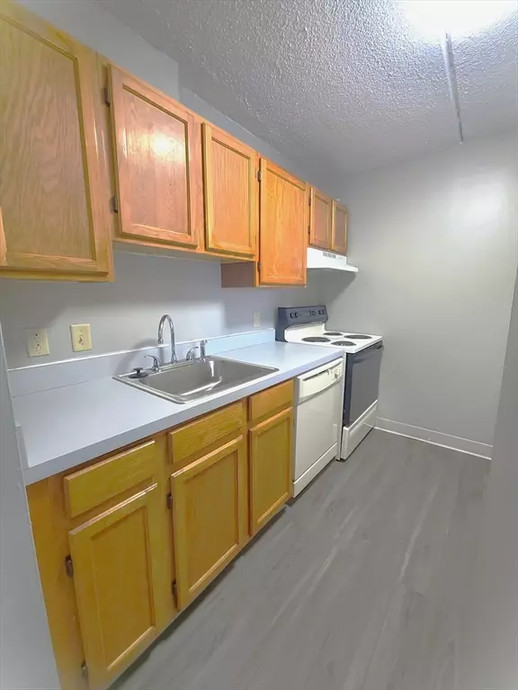Boston, MA 02125,65 North Point Drive #302
