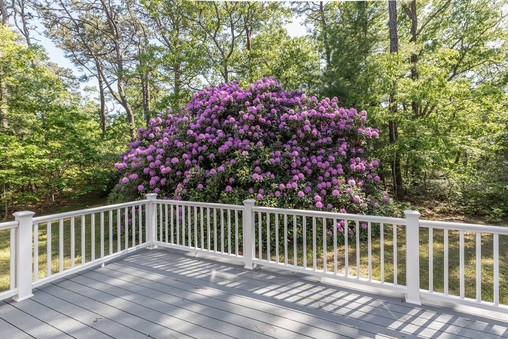 Edgartown, MA 02539,16 Majors Cove Lane