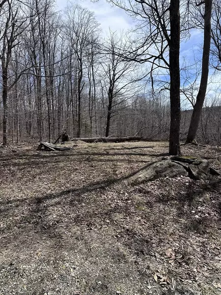 LOT 27 South Road Ext, Peru, MA 01235