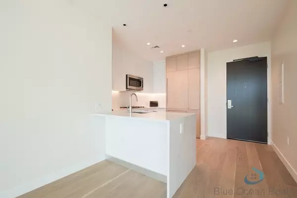 Boston, MA 02215,188 Brookline Avenue #24D