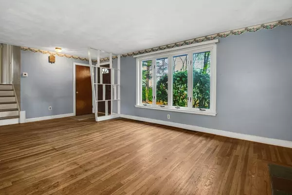 Norwood, MA 02062,81 Earle Street