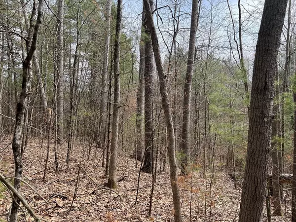 Ware, MA 01082,Lot 1 Monson Turnpike Road