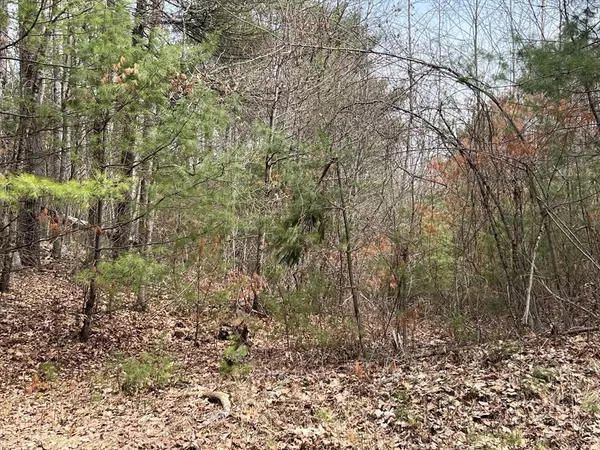 Ware, MA 01082,Lot 1 Monson Turnpike Road
