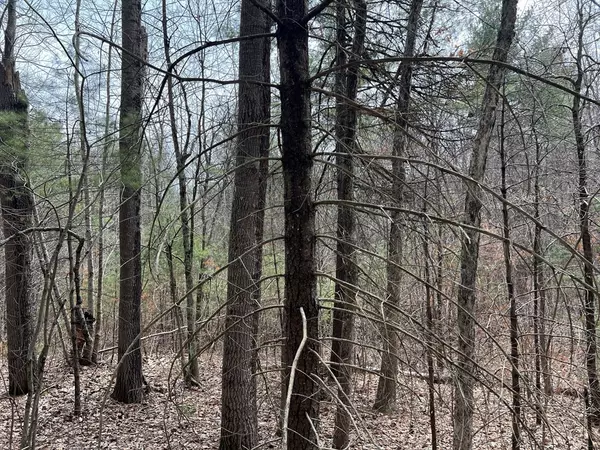 Ware, MA 01082,Lot 1 Monson Turnpike Road
