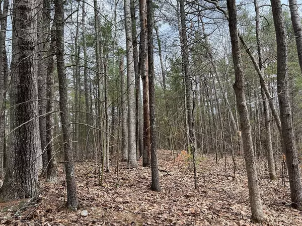 Ware, MA 01082,Lot 1 Monson Turnpike Road