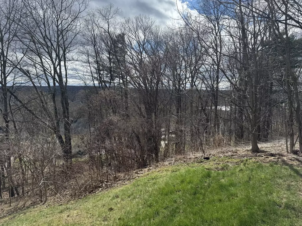 Worcester, MA 01609,44 Rustic Drive