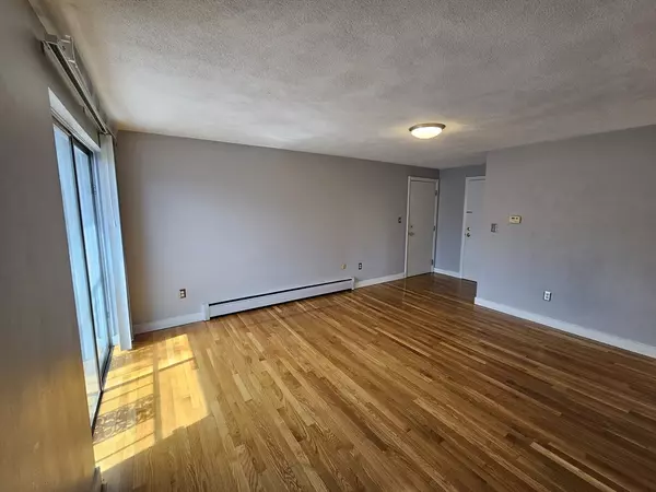 Waltham, MA 02453,180A River St #3