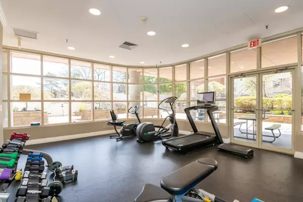 Brookline, MA 02446,20 Webster Street #304