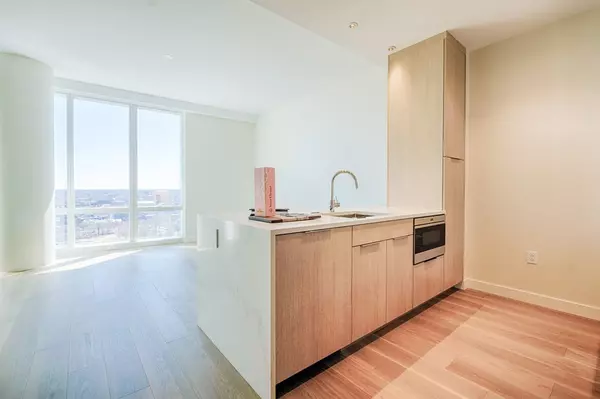 Boston, MA 02215,188 Brookline Avenue #25H