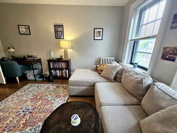 Boston, MA 02135,247 Chestnut Hill Ave #31
