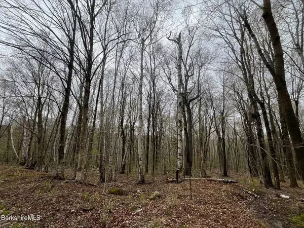 Monroe, MA 01350,0 Manley Phelps Road