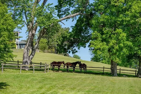 Ipswich, MA 01938,166 Argilla Road