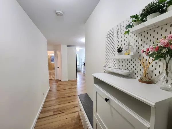 Arlington, MA 02476,125 Pleasant St. #203