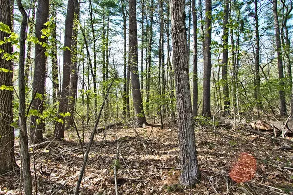 Upton, MA 01568,Lot A Kiwanis Beach Rd