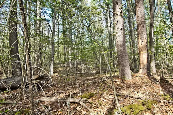 Upton, MA 01568,Lot A Kiwanis Beach Rd