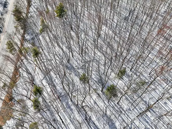 Burrillville, RI 02830,0 Bronco Hwy