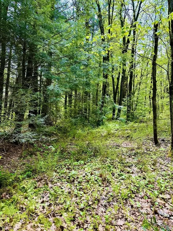 Otis, MA 01253,91 Pike Rd