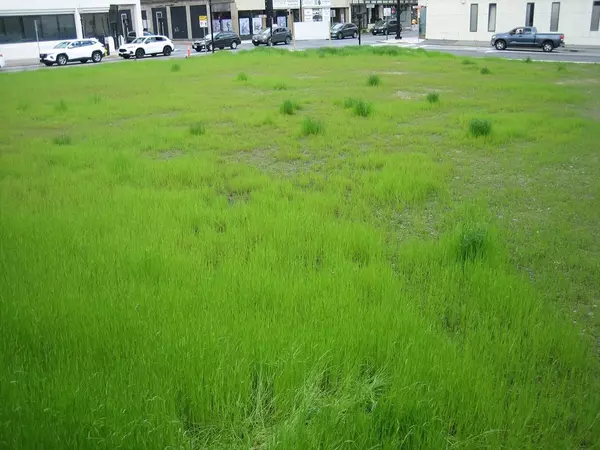 Fitchburg, MA 01420,520 Main St.