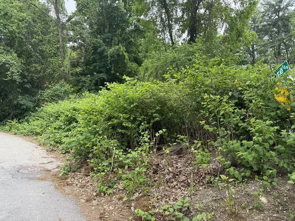 Wellesley, MA 02482,4 Shore Rd
