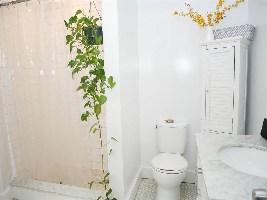 Brookline, MA 02446,45 Carlton #3