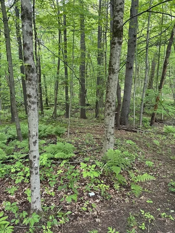 Royalston, MA 01368,0 South Royalston Rd