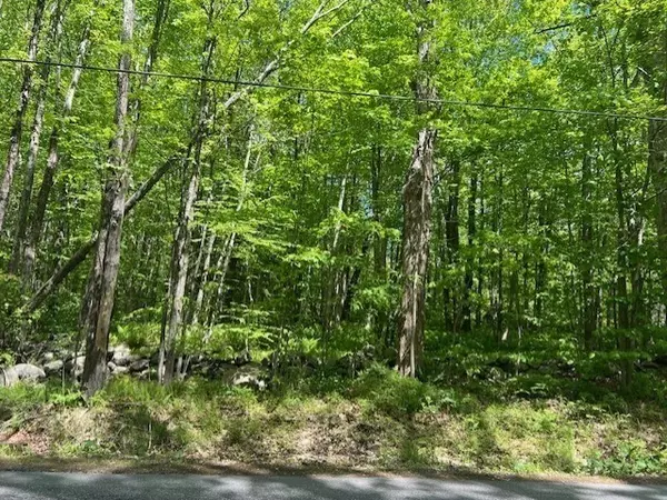 Hubbardston, MA 01452,Lot B New Templeton Rd