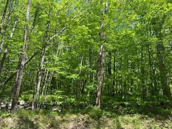 Hubbardston, MA 01452,Lot B New Templeton Rd