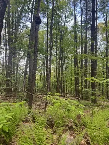 Hubbardston, MA 01452,Lot A Ragged Hill Rd