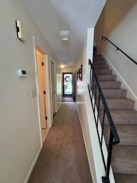 Peabody, MA 01960,51 Tamarack Ln #51
