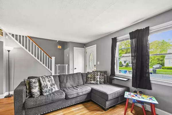 Springfield, MA 01109,265 Pheland St