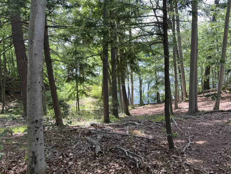 123 Dudley Rd, Wayland, MA 01778