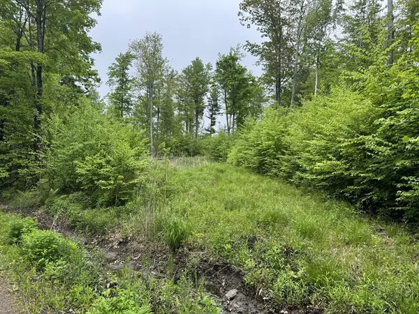 Blandford, MA 01008,Lot B Beulah Land Road
