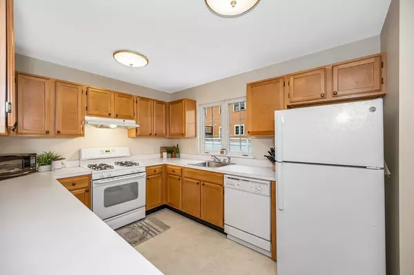 Lynn, MA 01902,83 Laighton Street