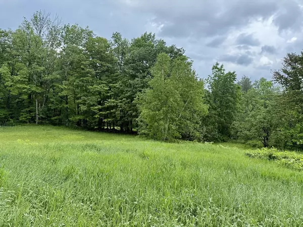 Hawley, MA 01339,0 Stetson Rd