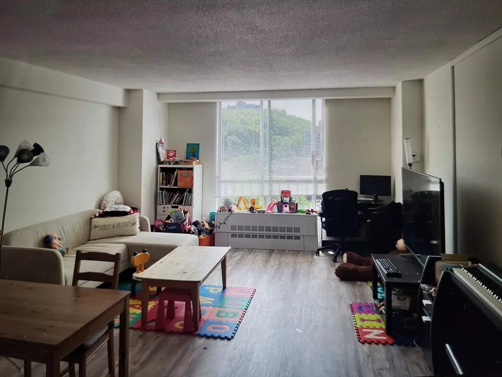 Brookline, MA 02445,33 Pond Ave. #1013