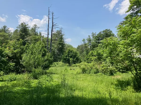 Petersham, MA 01366,19&21 Common St