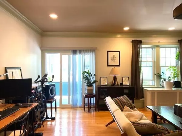 Brookline, MA 02446,208 Fuller St #3
